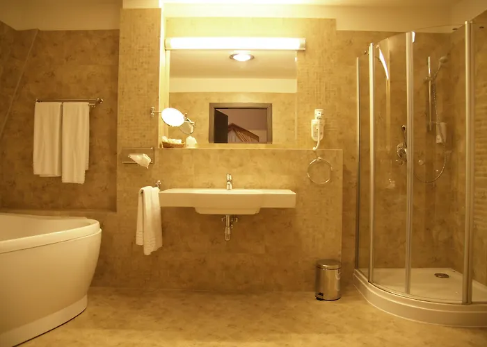 Ambasadorski فندق